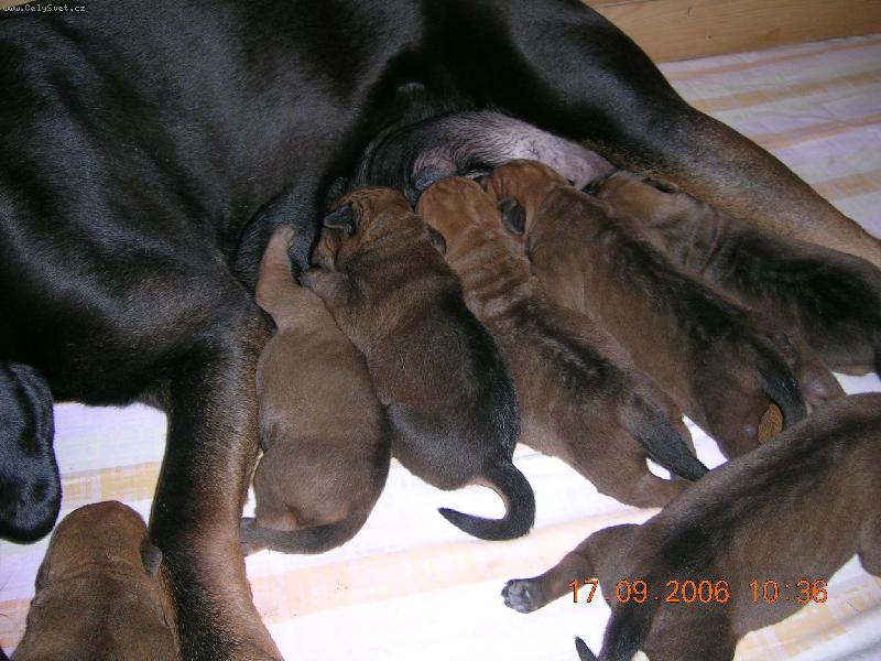 Foto: Tosa Centrum-�t��ata