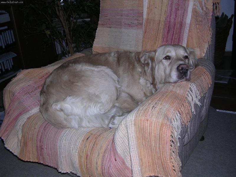 Foto: ZzZzZzZzZzZ-kesinecka spinuska �)