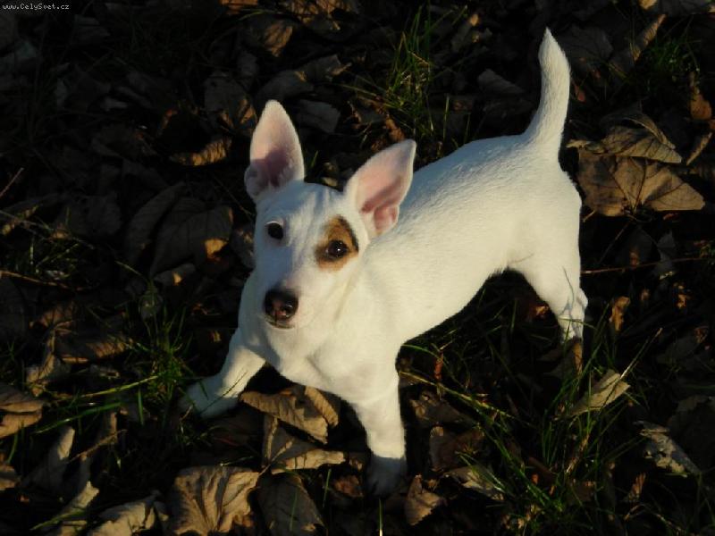 Foto: Mailo-7- mes��n�