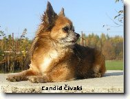 Desetiletý Kubík