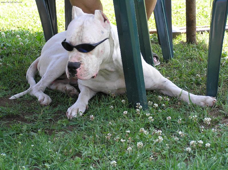 Foto: men in black-Ricardo frajer