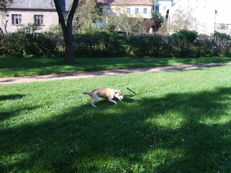 Foto: U� to m�m!!!-A stejn� ho chytnu