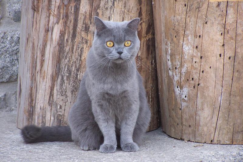 Foto: odpoledn� siesta