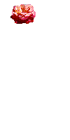 Více smajlíků ke stažení